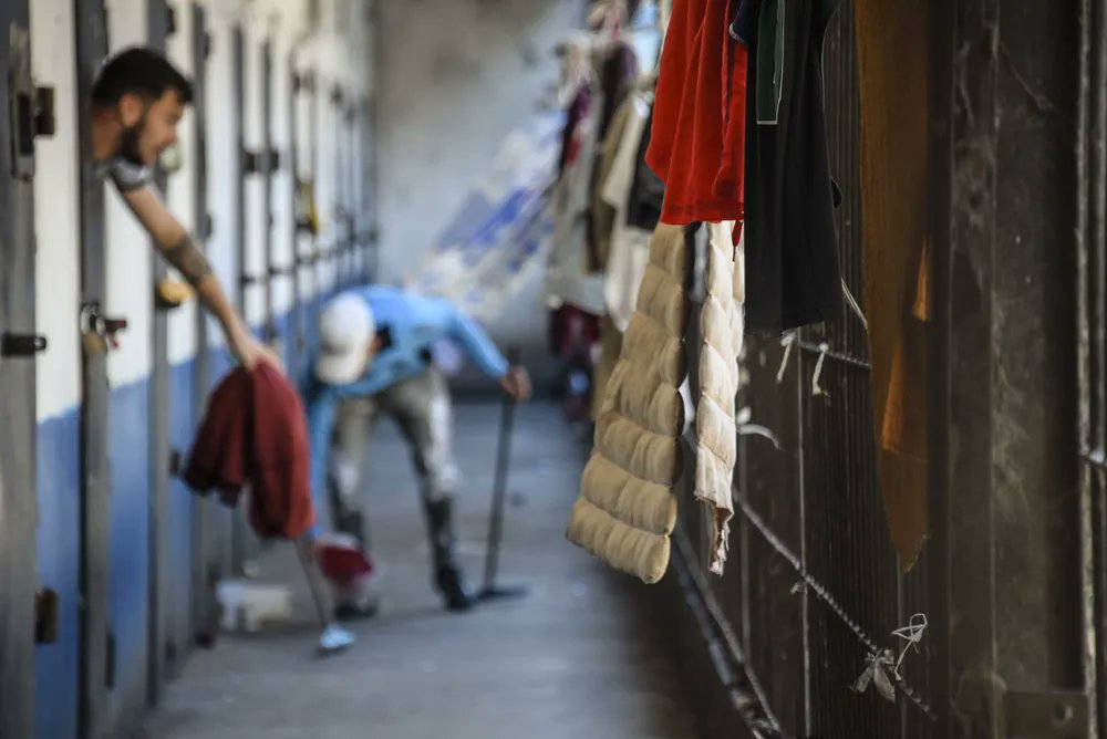 "Estudio con 1.814 liberados de prisión: programa de transferencias y acompañamiento"
Con decano <a href="/EmpresasUM/">Empresas y Economia</a> <a href="/UnivMontevideo/">Universidad de Montevideo</a> (JoséMaríaCabrera), <a href="/federico_veneri/">Federico Veneri</a> y EdgardoGarcía, hicimos evaluación de impacto del PIA y <a href="/Turwicz/">Tomer Urwicz</a> lo reseña en <a href="/ObservadorUY/">El Observador Uruguay</a> 
elobservador.com.uy/nacional/estud…