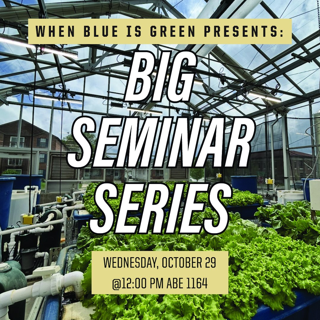 When Blue is Green Project tweet media