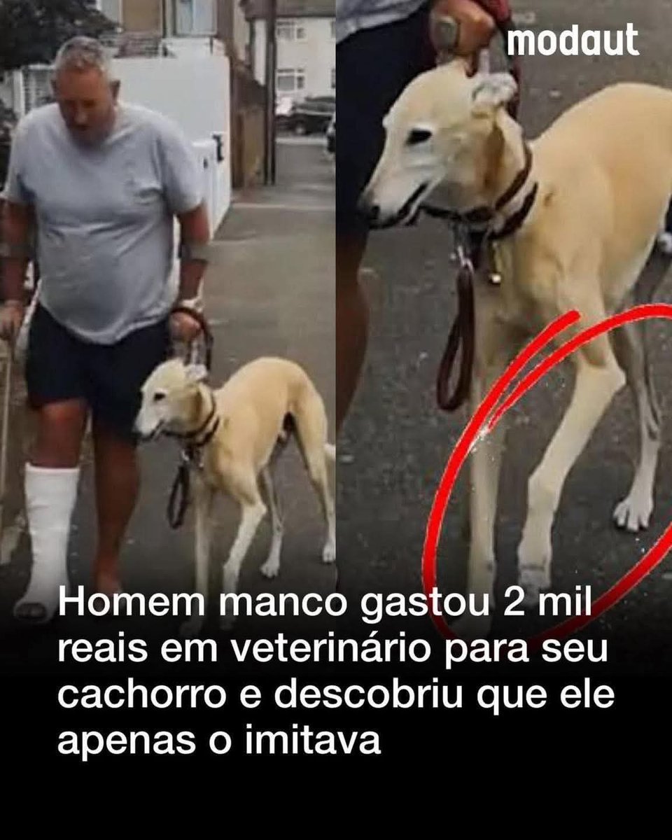 stuartdois's tweet image. KKKKKKKKKKKKKKKKKKKKK