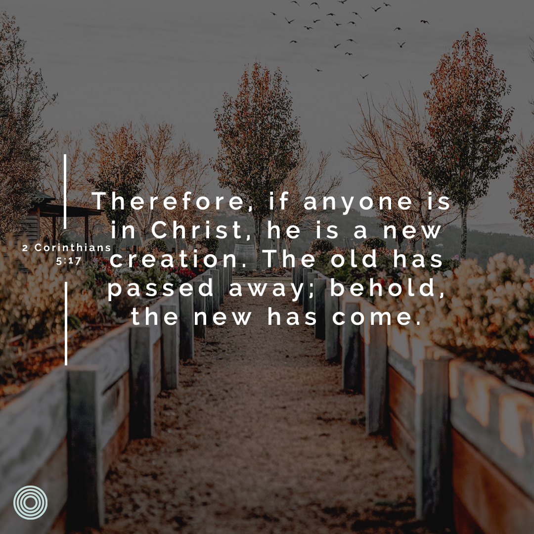 "Therefore, if anyone is in Christ, he is a new creation. The old has passed away; behold, the new has come." 2 Corinthians 5:17

How might God be inviting you today to step into the rest, peace, and freedom of living from what He says is true of you because of Jesus?