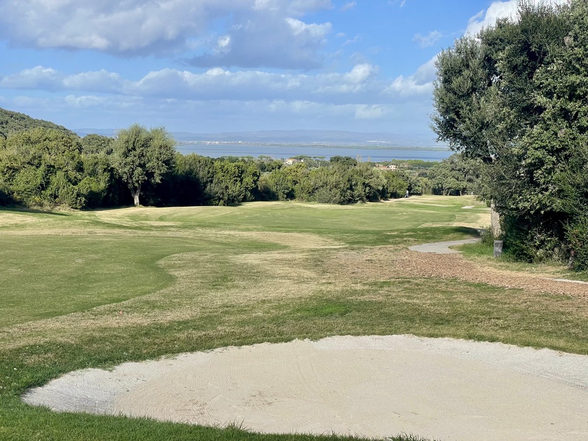 A.Aziz Alkhater . Free Palestine tweet media