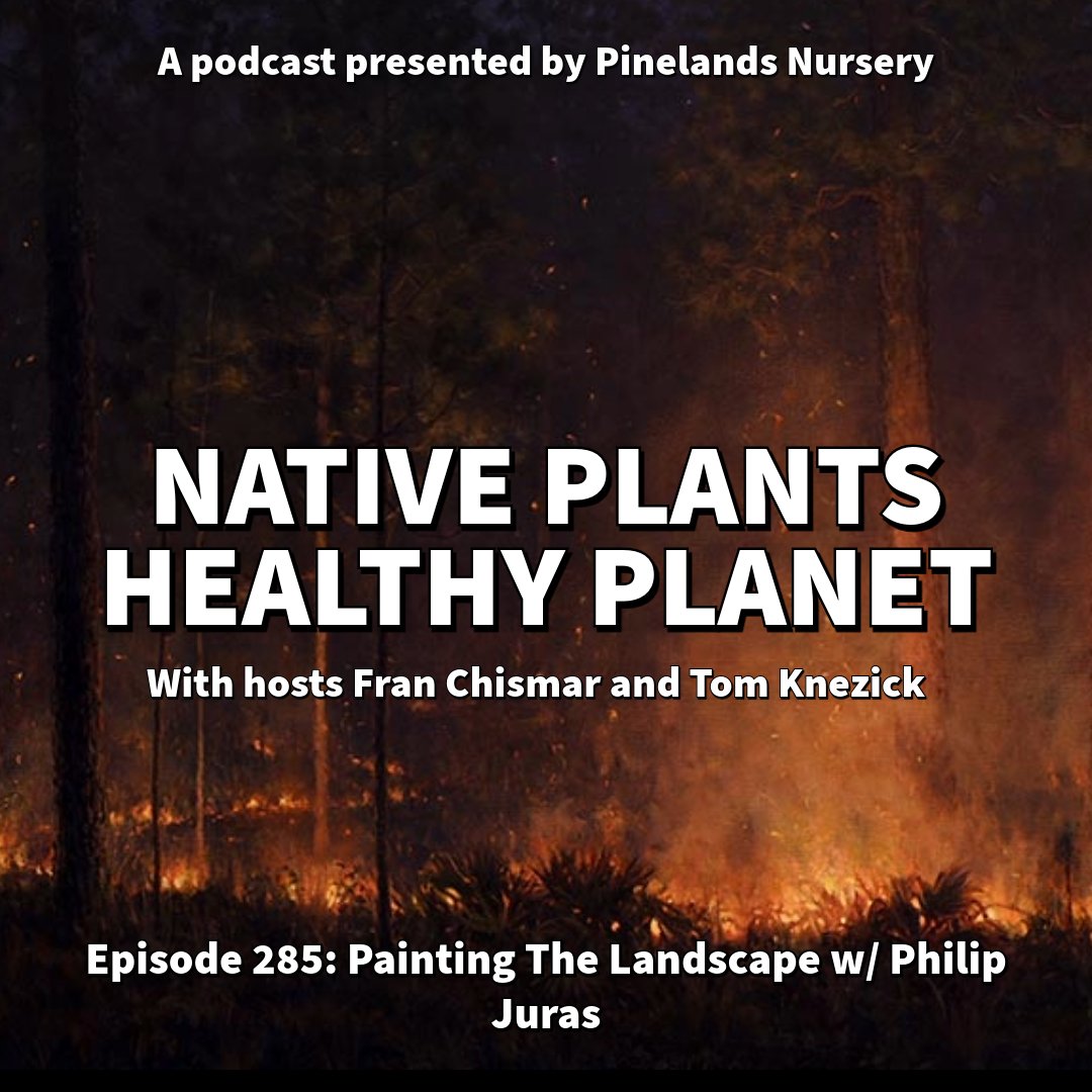 Tom &amp; @nativeplantFran connect w/artist 
Philip Juras to discuss painting the natural world. Topics include allowing yourself to be moved by our natural environments, historical significance of the landscapes that Philip paints bleav.com/shows/native-p…