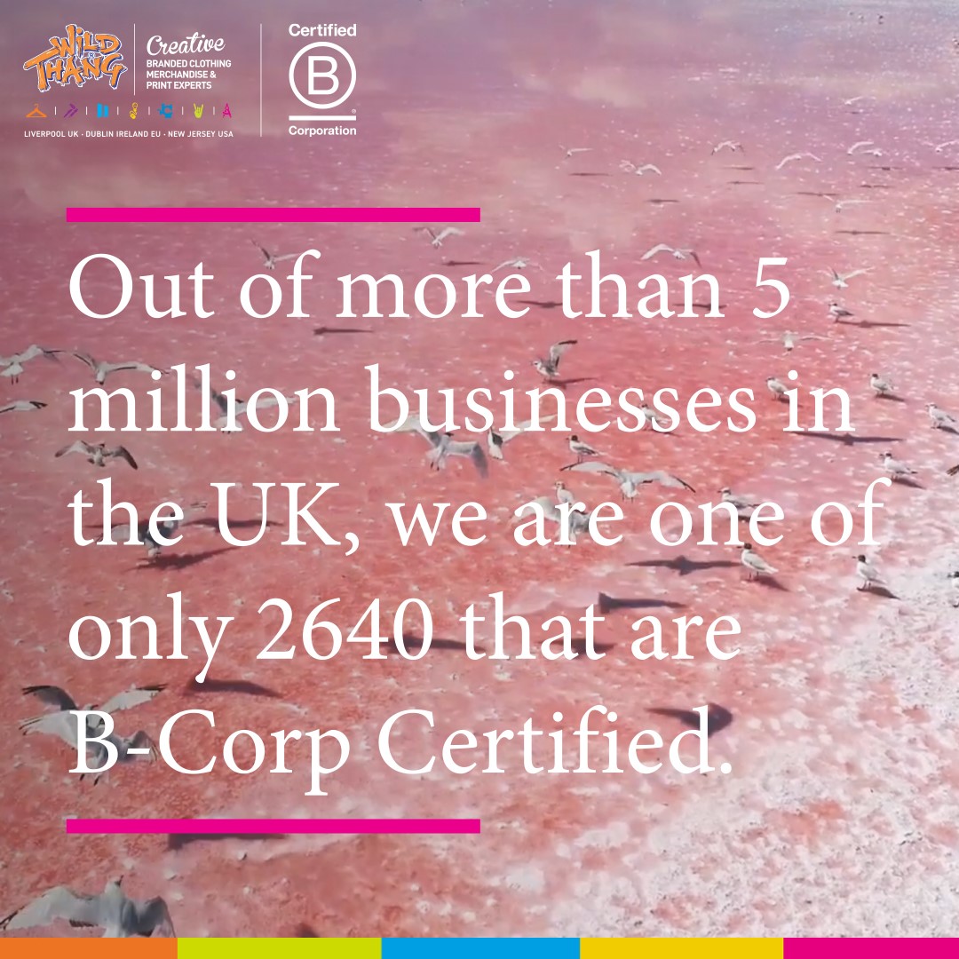 🌍 A big part of becoming a Certified B Corp for us was about supporting and inspiring our clients to improve their own ESG impact as an integral part of their supply chain.

 To find out more about our B Corp journey, head to our blog: wildthang.co.uk/our-wild-journ… 

#BCorp