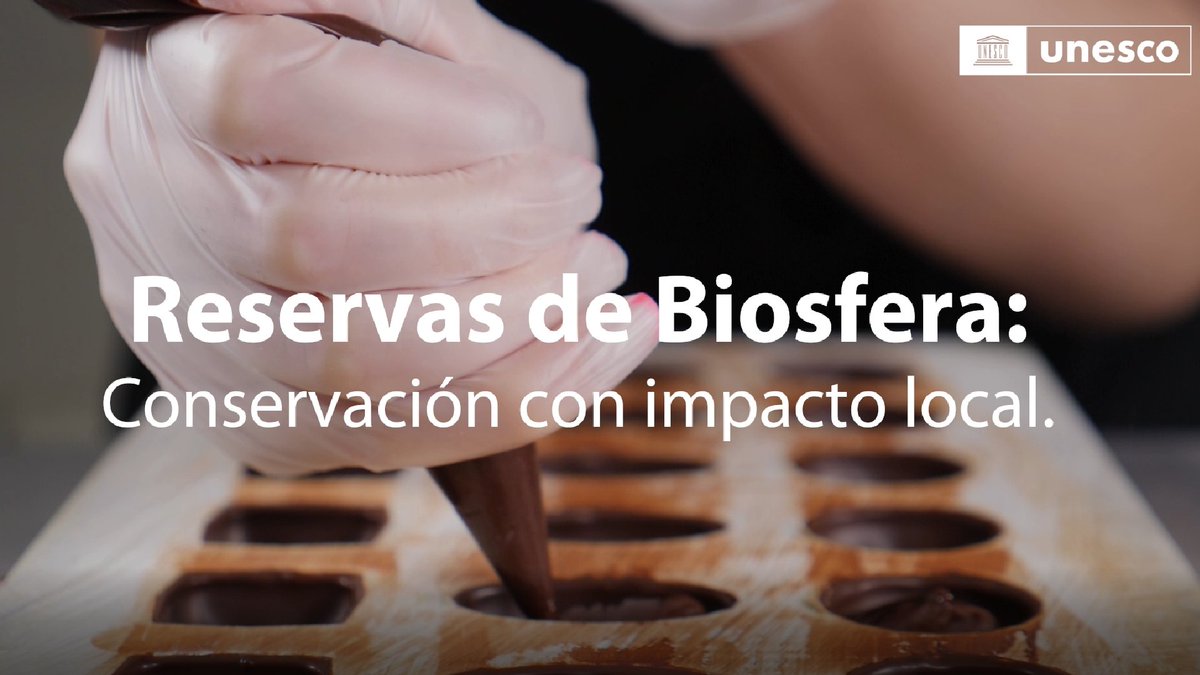 UNESCOperu's tweet image. 🌎 El #ProyectoAmazonía, ejecutado por UNESCO en el marco del programa El Hombre y la Biósfera, y con el financiamiento de #LVMH, busca mejorar la resiliencia y detener la pérdida de biodiversidad en la cuenca del Amazonas.