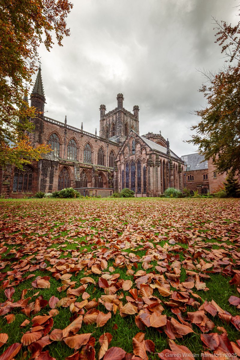 Chester Verger tweet media