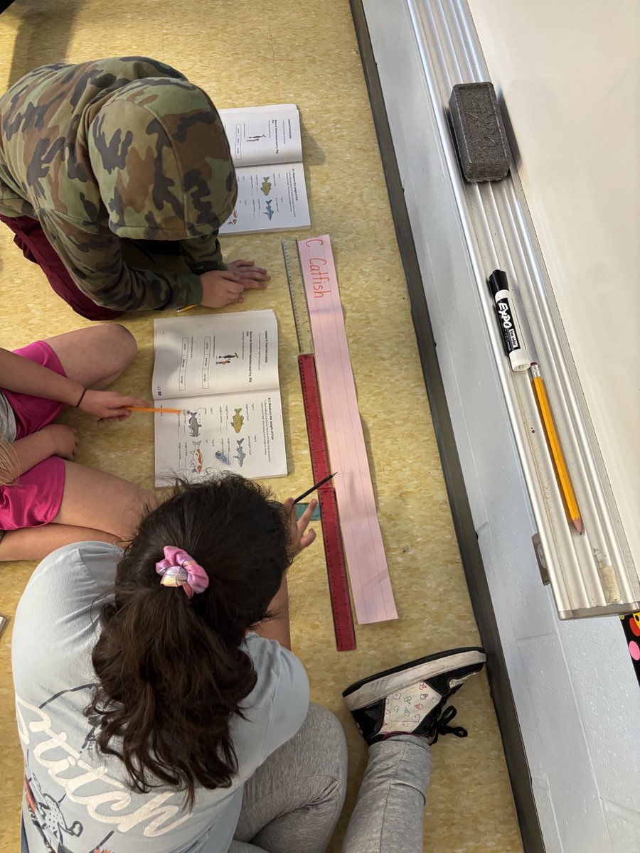arsweenzzs's tweet photo. Measuring fish today!   ⁦@myers5enough⁩ ⁦@WTBobcats⁩ https://t.co/Q9cNh40RxJ