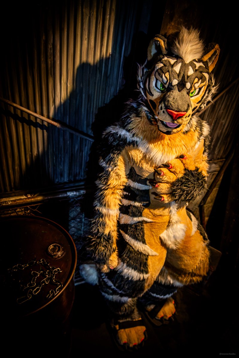 😎✨

#fursuitFriday