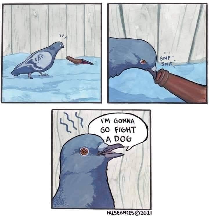 Rai air (@topicdulli) on Twitter photo 