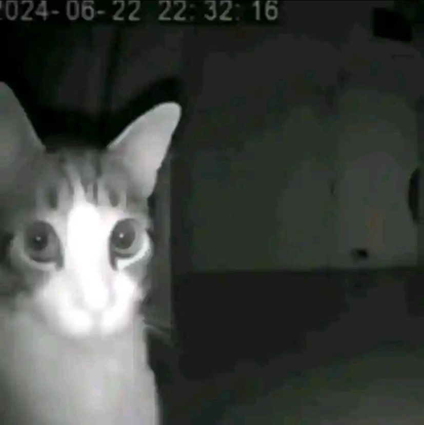 Pessoas com medo de matematica, quimica e geografia na unicamp.

Eu tenho medo é de inglês/obras literárias galera