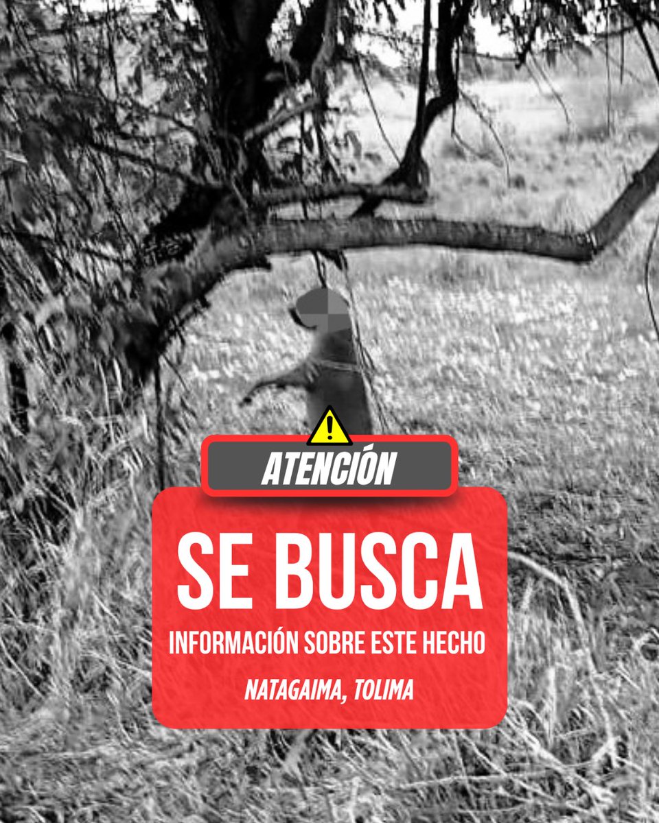 Desde ayer circula esta imagen; dicen que el hecho atroz ocurrió en Natagaima, Tolima. Sin embargo, no hay información que permita establecer cuándo ocurrió ni quién lo hizo. ⚠️ Por favor, si saben algo infórmenle a la <a href="/PoliciaDeTolima/">Departamento de Policía Tolima</a> y a la Alcaldía de Natagaima / <a href="/gobertolima/">Gobernación del Tolima</a>