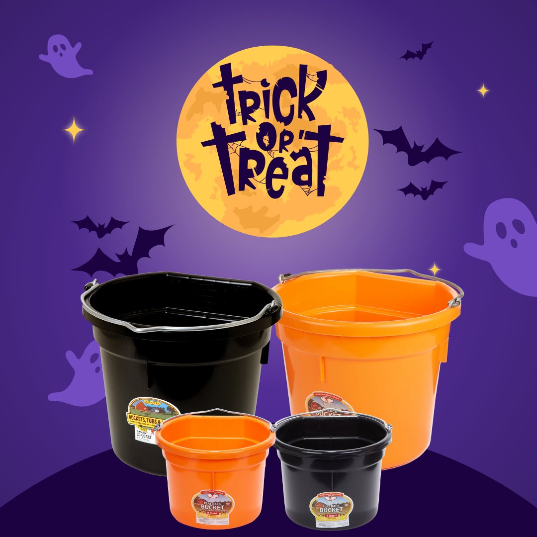 From trick-or-treat totes to creepy-cute candy stations, Little Giant® buckets are the ultimate Halloween helpers. Durable, versatile, and ready for all your haunting needs! 🕸️🍬

#HalloweenPrep #MillerManufacturing #SpookySeason #TrickOrTreatReady