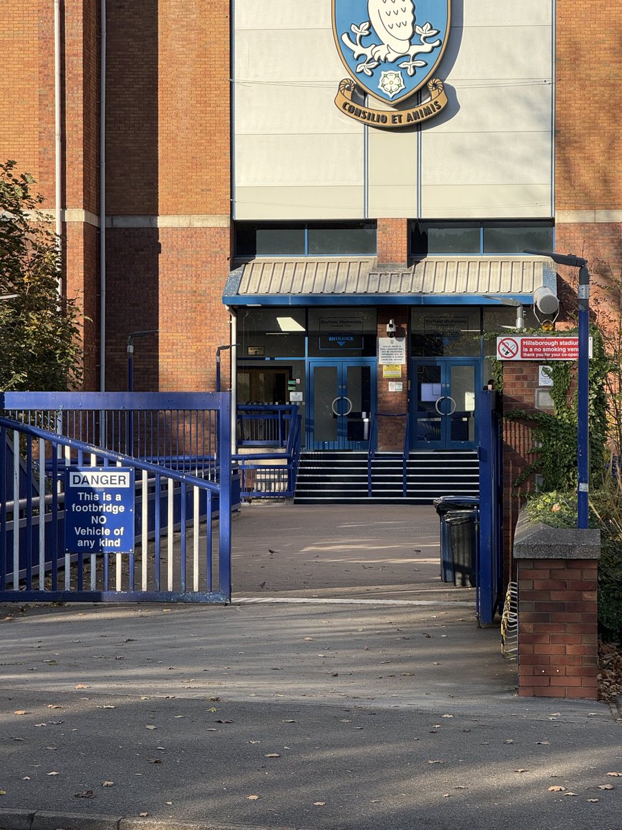 David Stache tweet media