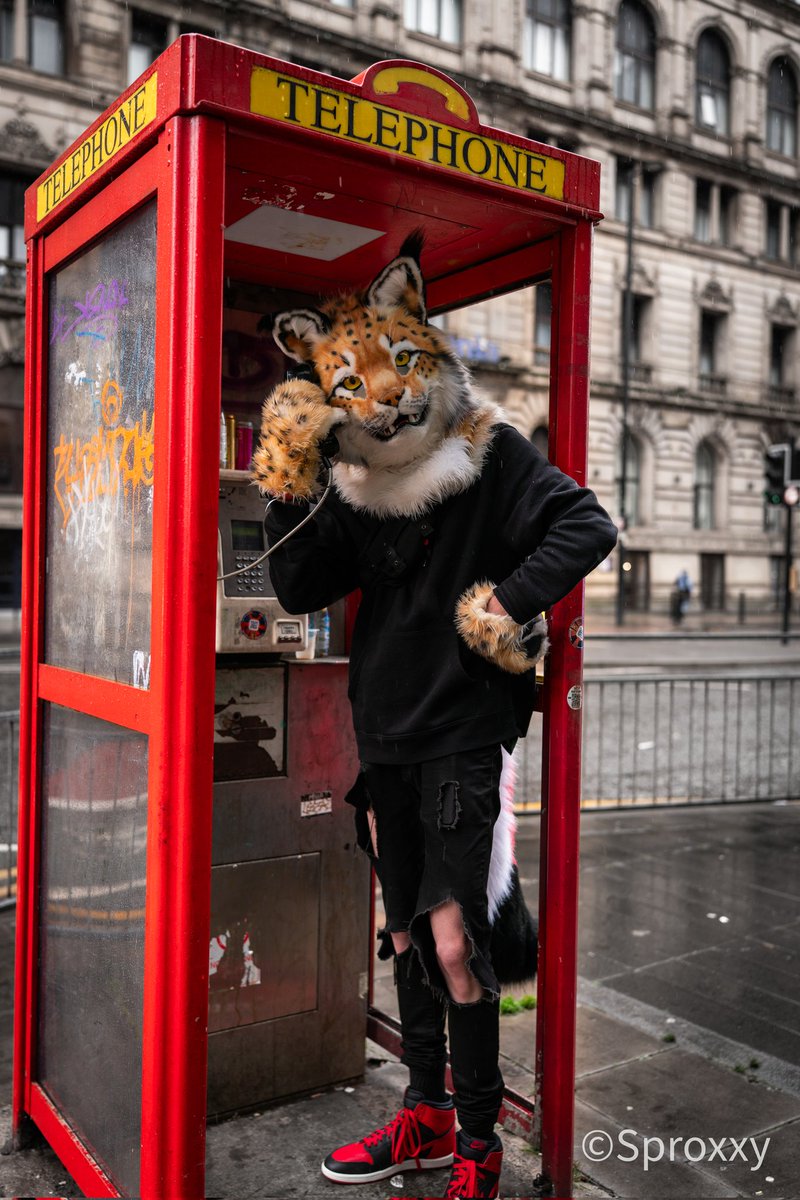 Hello this is lynx !
I've been trying to reach you about your nubs extended warranty.

#FursuitFriday #Fursuit #Lynx 
📸: <a href="/SproxxyHusky/">🏳️‍🌈🇩🇰Sproxxy Husky 🔜 NFC</a>