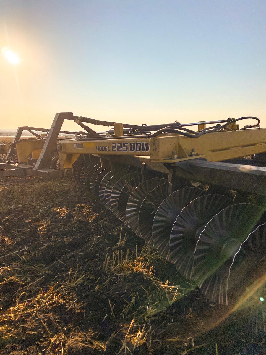 Crisp air, golden light, and another day in the field — just how we like it. 🌾#kellobilt #kellobiltdisc #CanadianMade #tillage #agriculture #offsetdiscs #tandemdiscs #discripper #disc #discblades