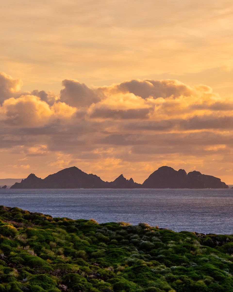 AustralisEXP's tweet image. Today, on International Climate Change Day, we reaffirm our commitment:
🌍 to travel with respect,
🌊 to value every corner of nature,
💙 and to be part of the solution.

Caring for the planet is the most important journey we can take together.

📷: Paolo Petriniani