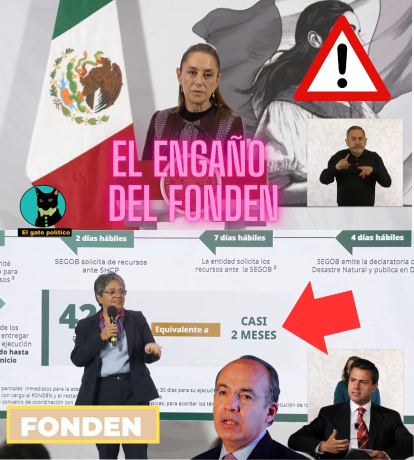 El gato político tweet media