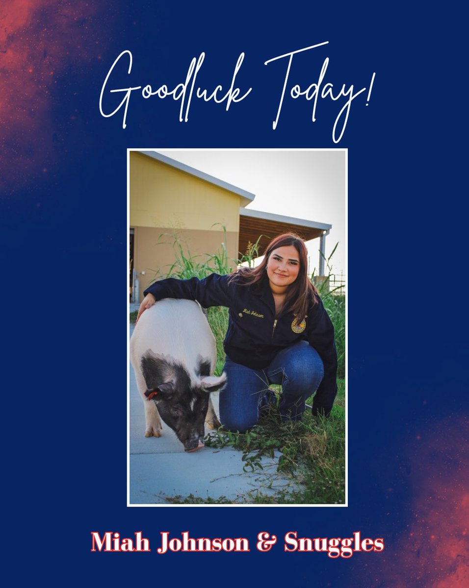 MaydeCreekFFA's tweet photo. Good luck to our Harris County Livestock Show exhibitors today 🍀 They have worked tirelessly all summer to get their animals ready for today! 🐐🐷
#RPND #MaydeCreek #FFA https://t.co/D5B02zFpjh