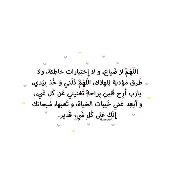 عبدالله القحطاني tweet media