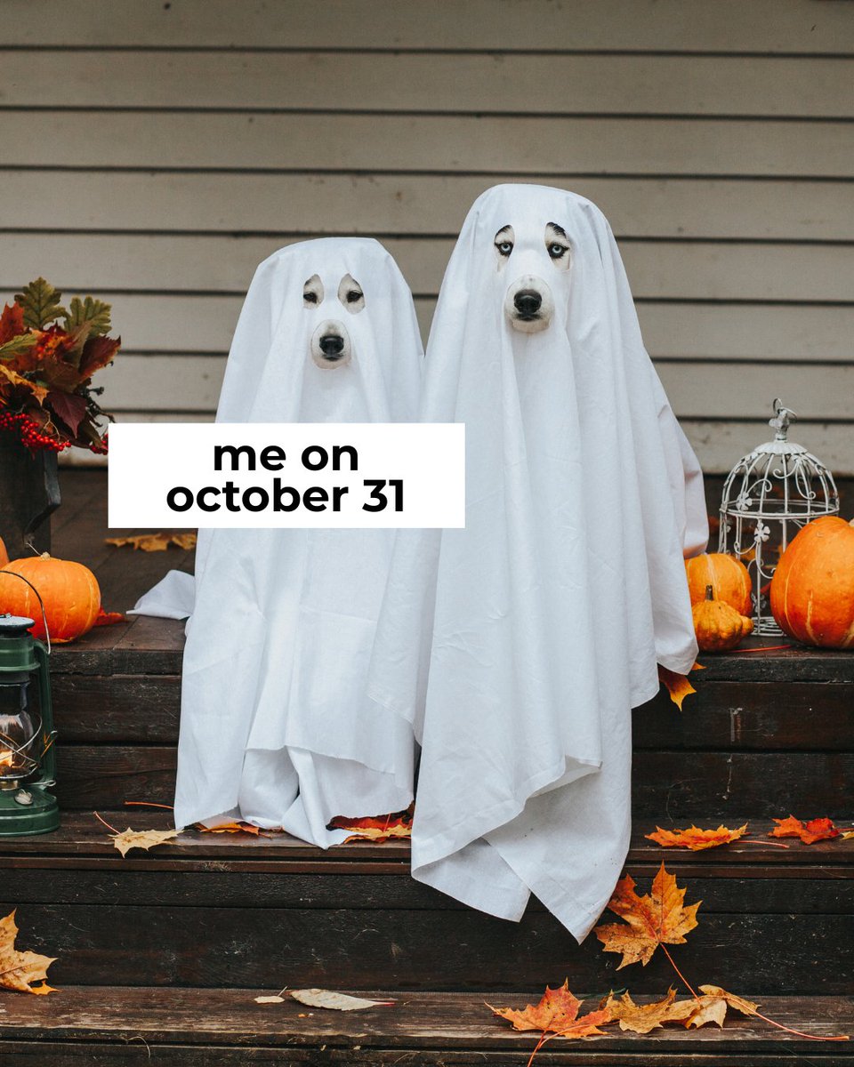 sidexsideindy's tweet photo. *Based on true events*

#halloween #christmas #november1 https://t.co/f063noZphB