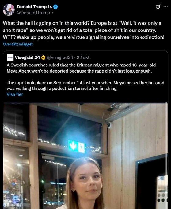 GStrand45's tweet image. THANK YOU @DonaldJTrumpJr 

🇸🇪 This sick and twisted fucked up country need some desperate help from woke-liberal hell hole that occupied all aspects of our "society".

Rape, shootings, bombings and terror of our people.
@realDonaldTrump