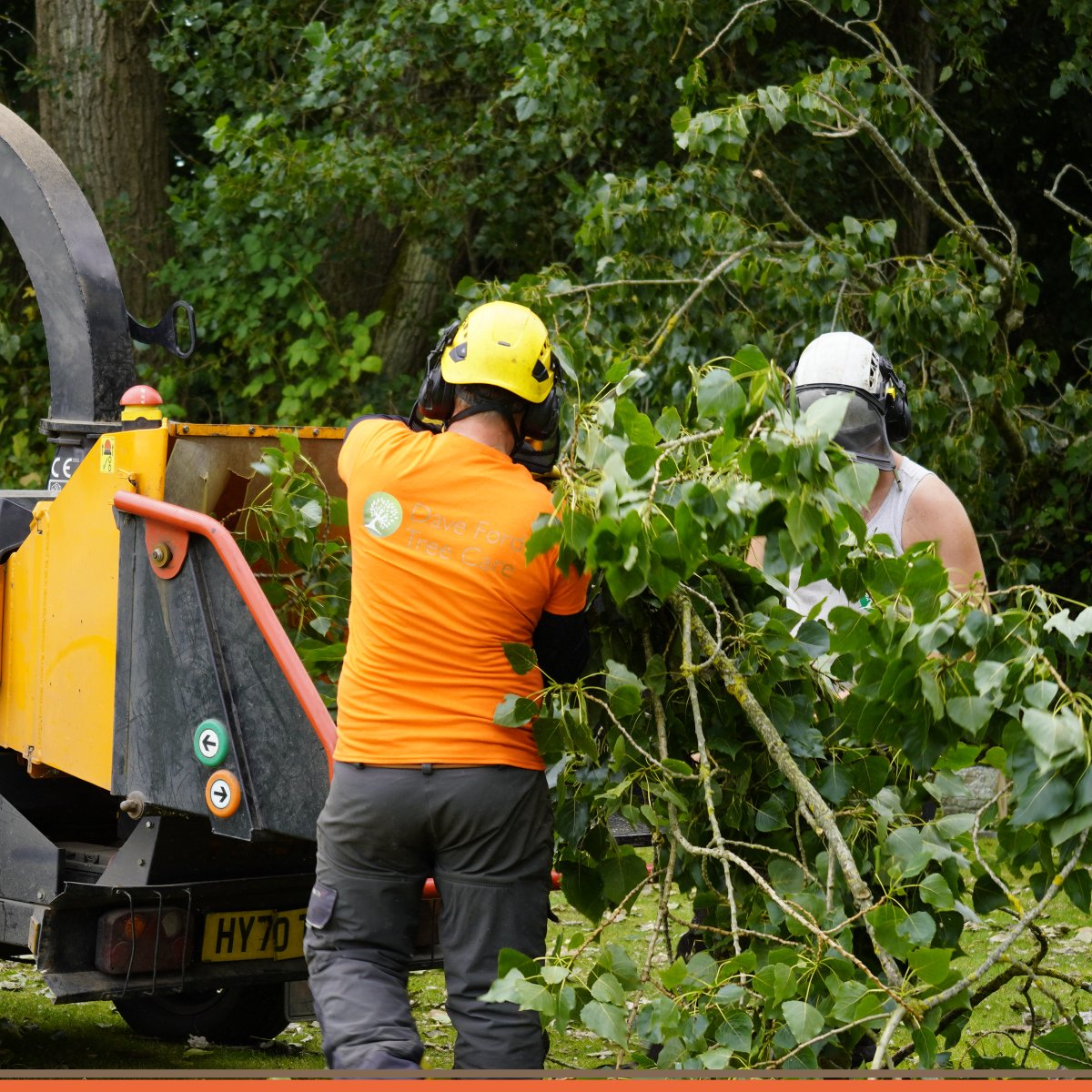 DFordTreeCare's tweet image. 🌳 We provide a free inspection and quote for all new inquiries, carried out by a qualified arborist/tree surgeon to ensure we fully assess your needs and deliver the best possible service with the latest industry practices.
davefordtreecare.co.uk
#TreeCareExperts #Arborists