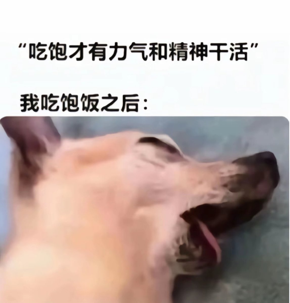 喃南 (@axian_520) / Posts / X