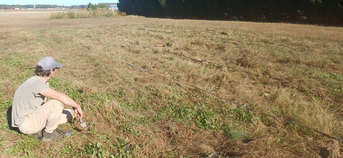 David Owens tweet media