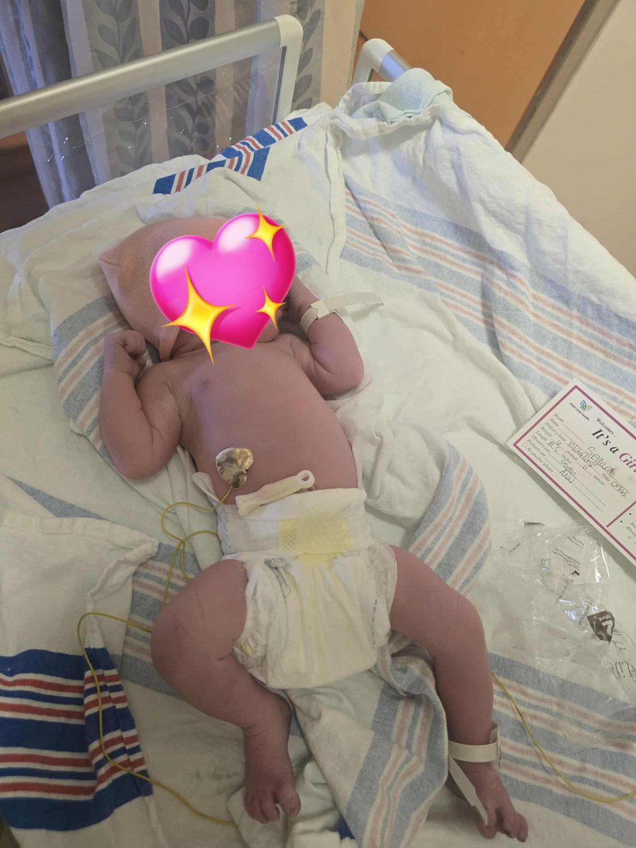 rin 🇵🇸 tweet media