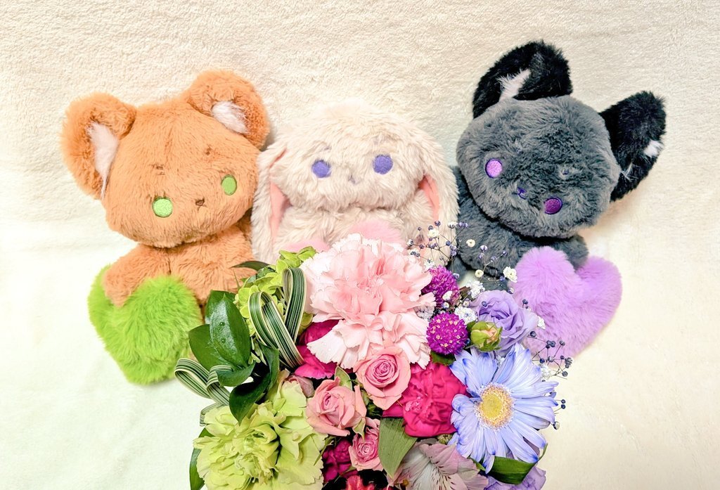 ナナリーです お前なんかがナナリーの代わりになるものか！この偽物め