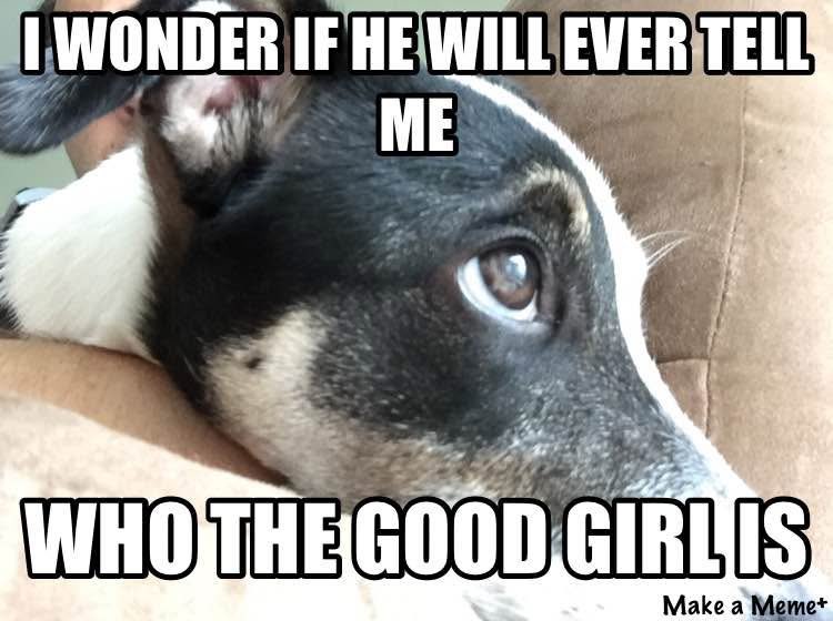 movingreader's tweet image. Deep thoughts from Sadie.