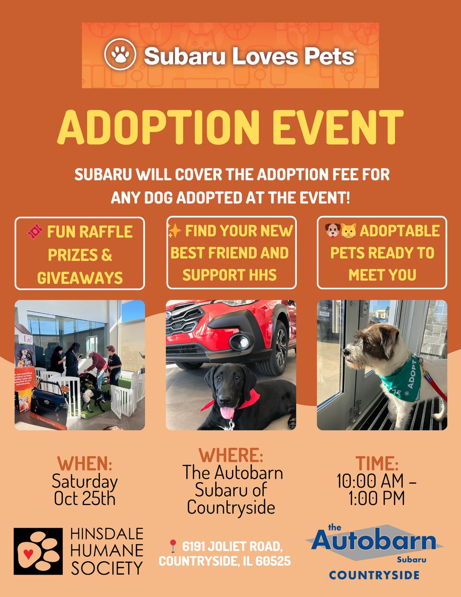 AutoBarnSB's tweet image. TOMORROW 10AM TO 1PM!
theautobarnsubaru.com
#SubaruLovesPets #autobarnsubaru #autobarnimports #autobarncountryside #hinsdalehumanesociety