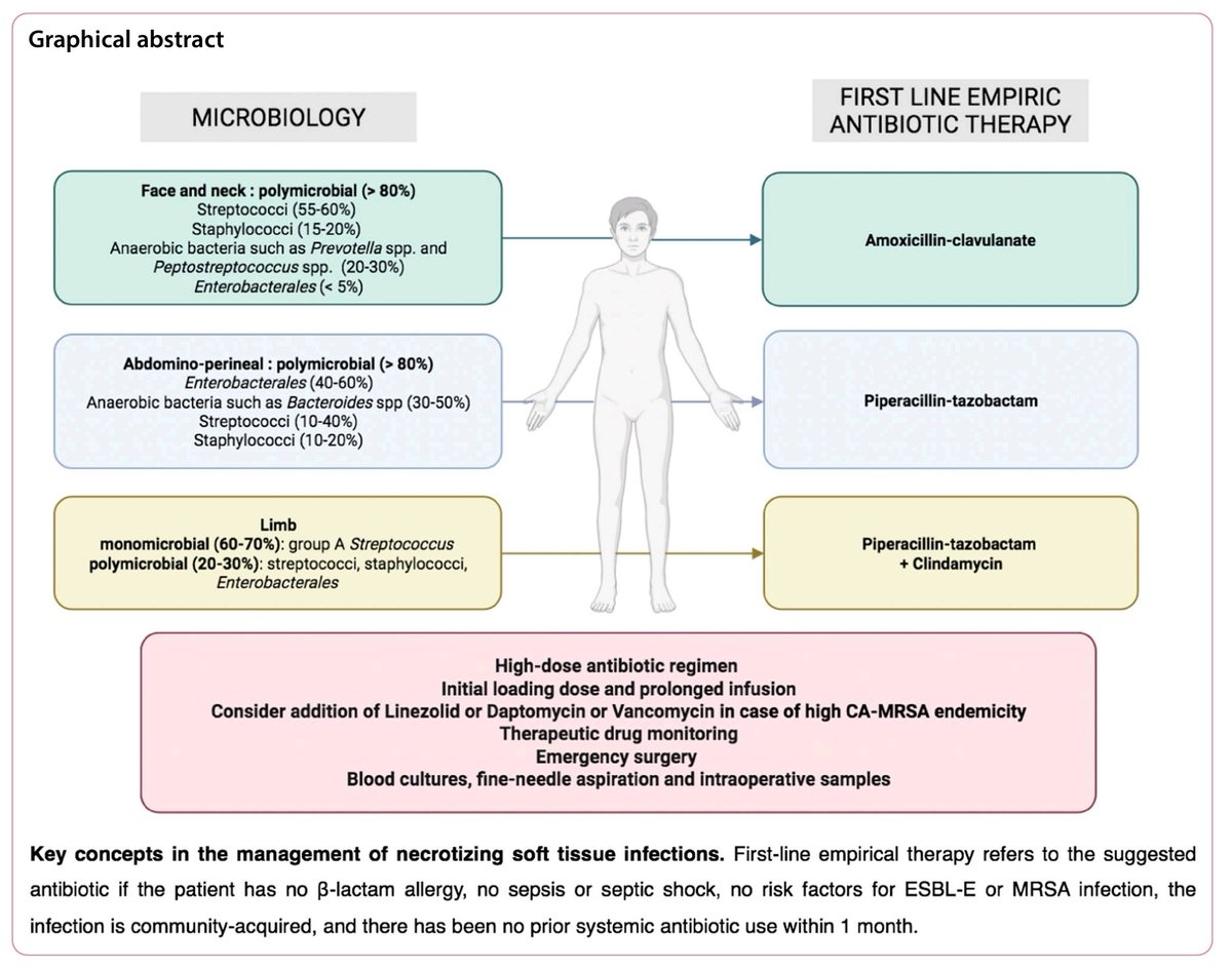 Juan Pablo Sánchez Navarro tweet media