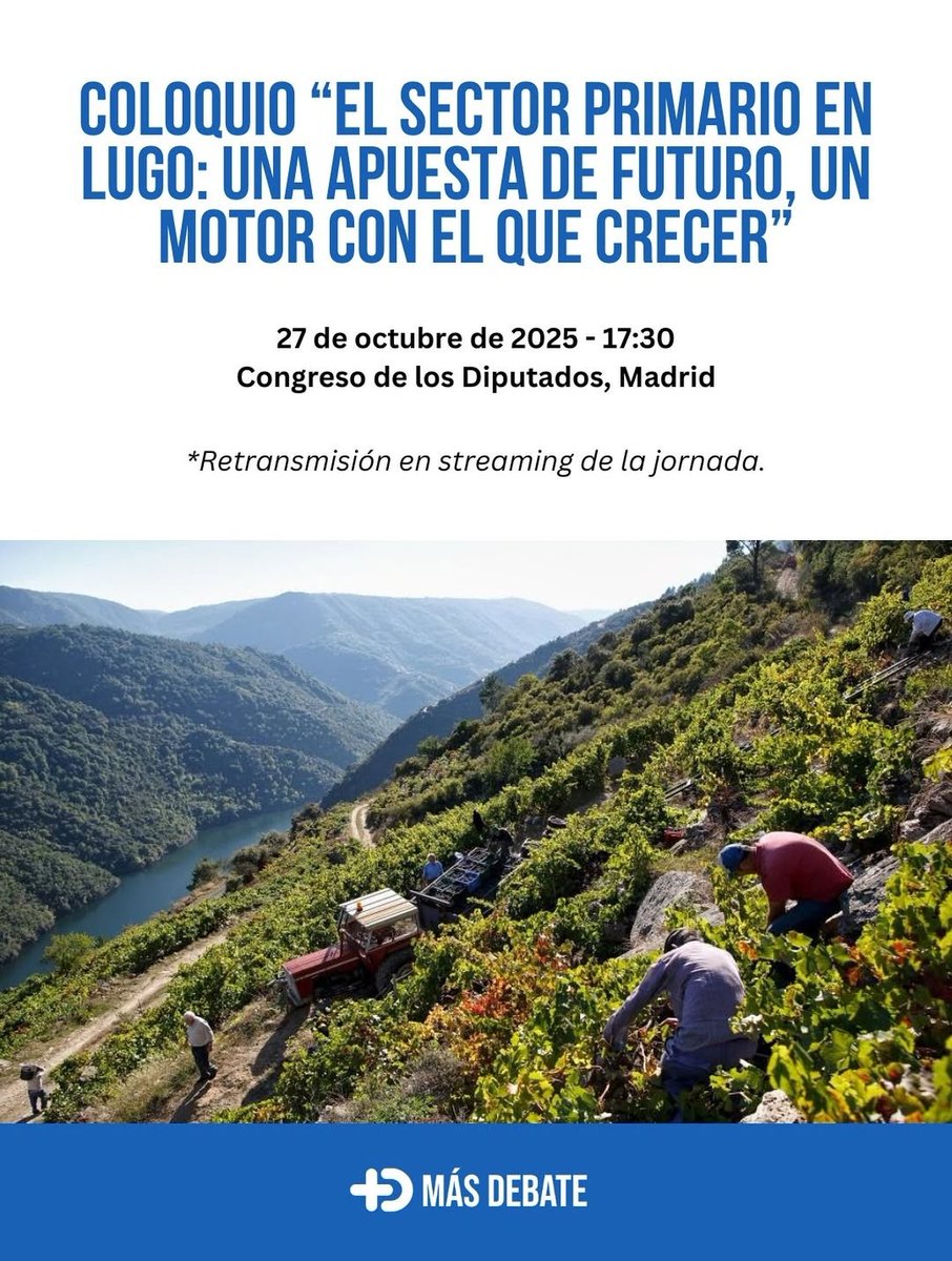 Manuel Maseda tweet media