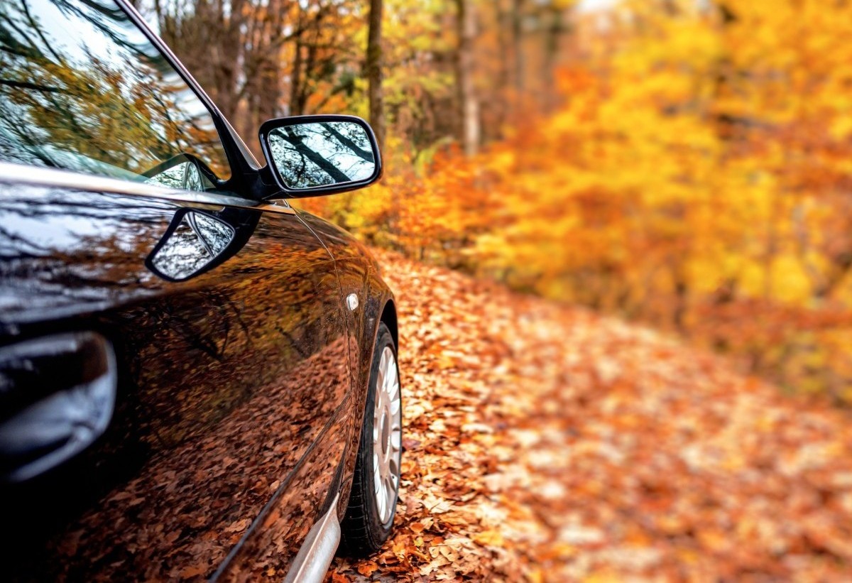 PerfAutoBodyIL's tweet image. Are you enjoying the season? Just be careful driving on leaves, especially when wet. They can cause a loss of traction, making it difficult to stop, turn or accelerate, and may increase the risk of skidding or crashing. #drivingtip #falldriving