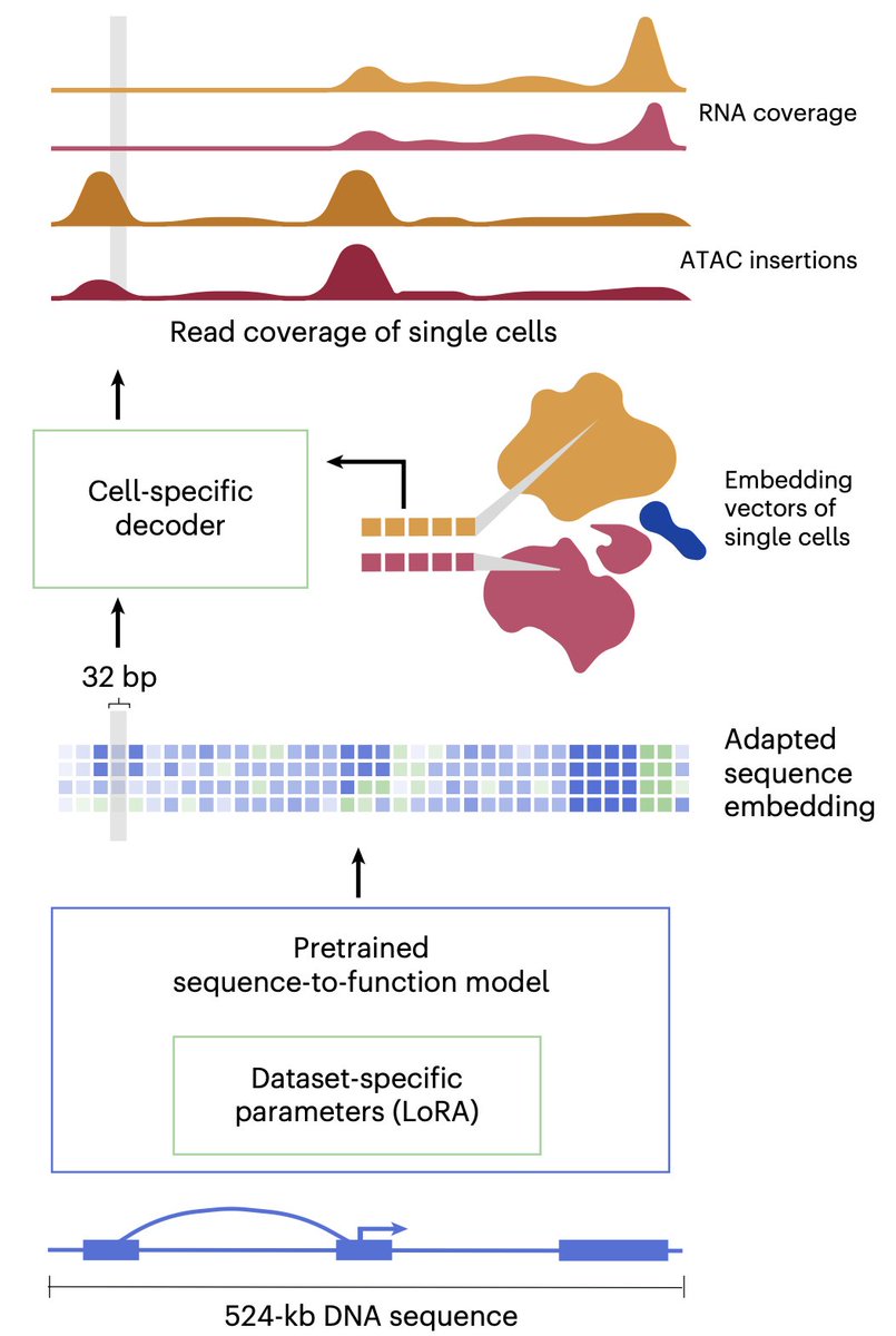 Johannes Hingerl tweet media