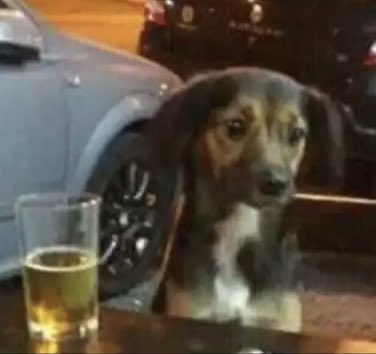 mds eu prometi q ia ser de leve e absolutamente nada foi