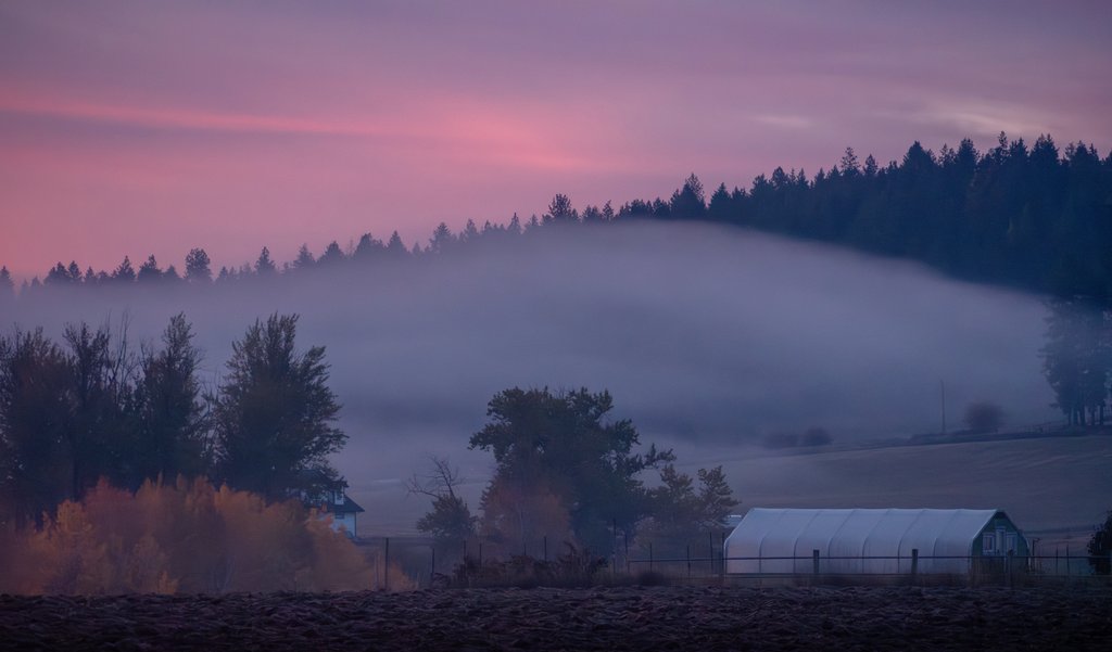 tennis45luv's tweet image. An atmospheric river is knocking on our door, bringing with it a dramatic sunrise this morning! 🩷🧡💜 #wawx #Spokane #sunrise
@mattgraykxly @NWSSpokane 
@StormHour @ThePhotoHour