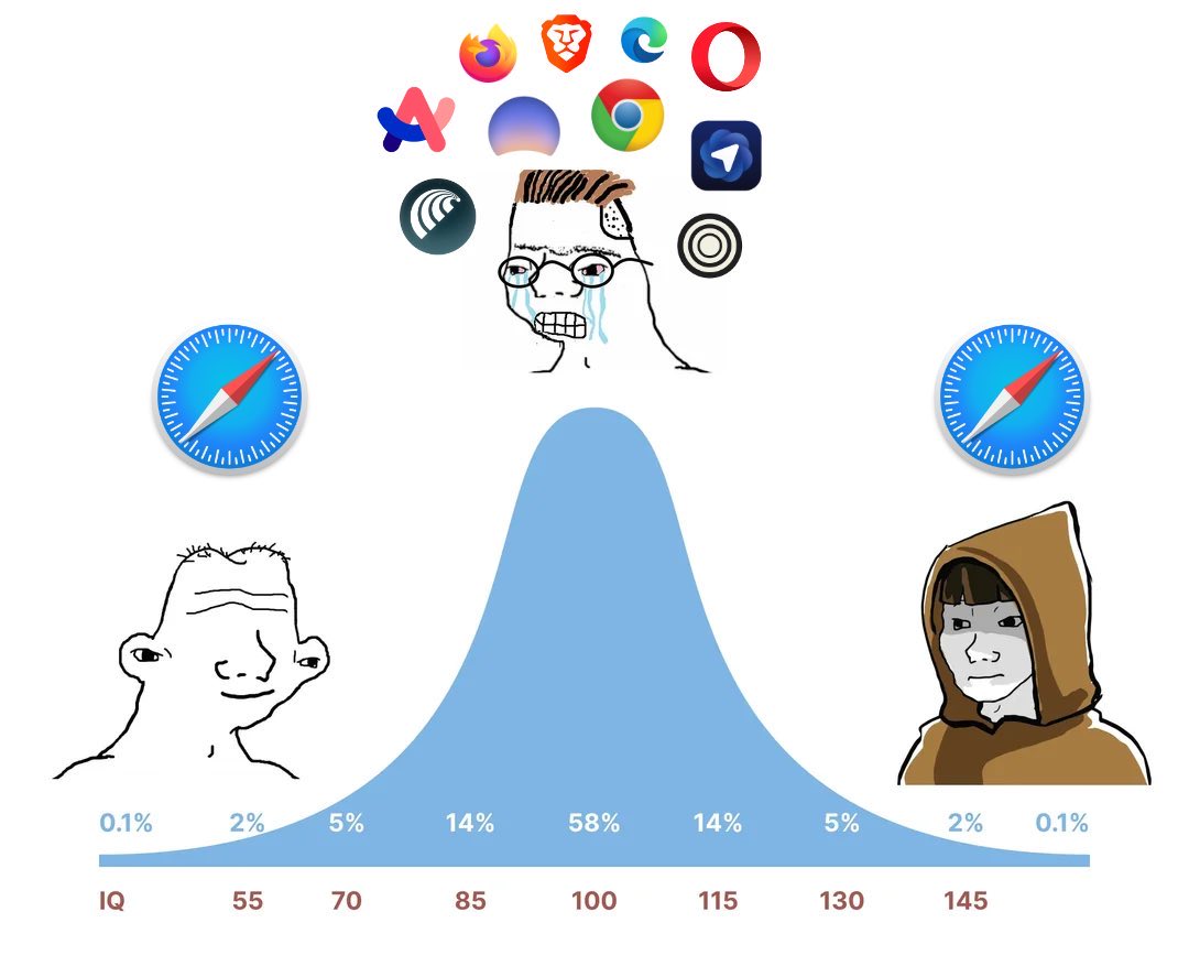 Metagravity0's tweet image. Maturity is realizing safari is just better