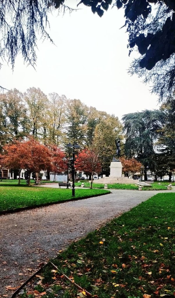 It's Autumn 🍂🍁 time