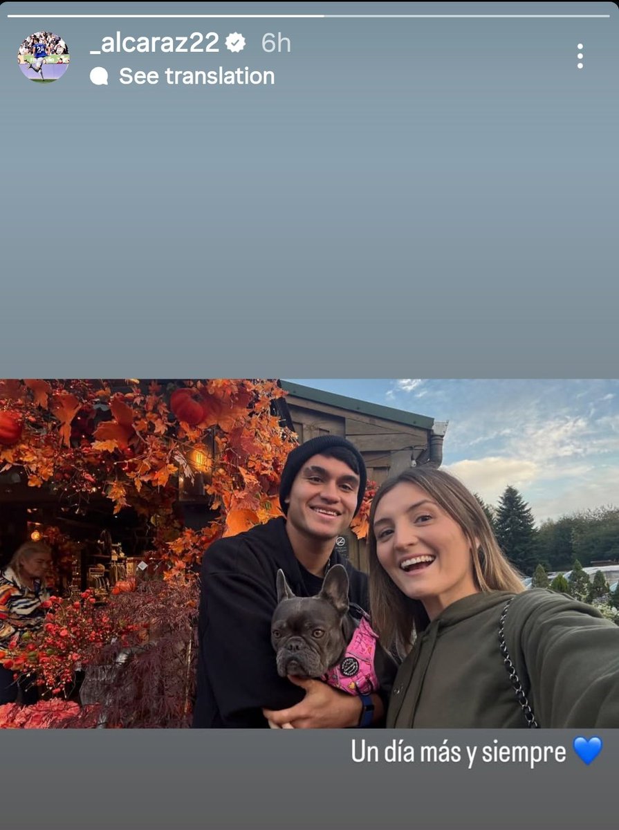 Botimalibu tweet media