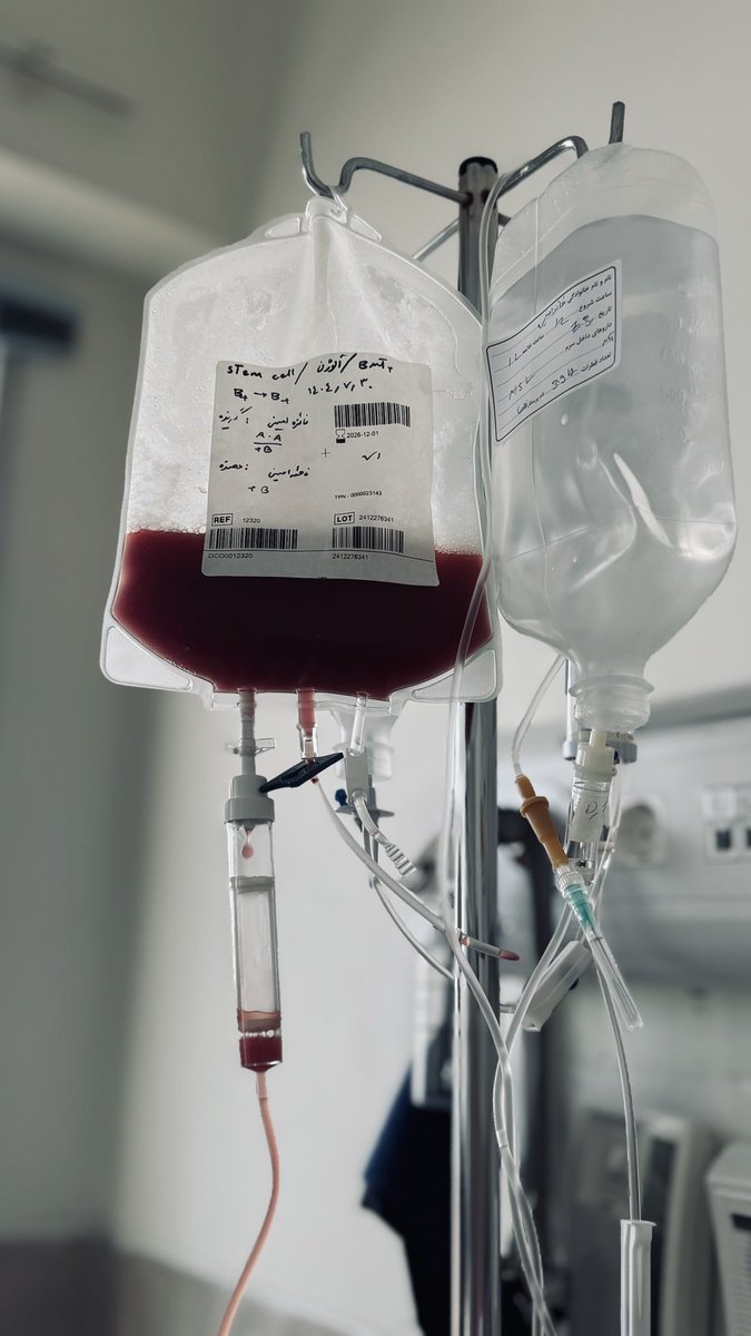 ɥǝzǝɐℲ tweet media