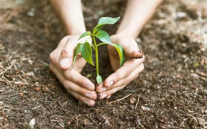 Devlet çiftçiye borcunu ödemedi, şimdi faizli kredi satıyor!

Türkiye Cumhuriyeti Devleti’nin Tarım Kanunu’nun 21. maddesi gereği, milli gelirin en az %1’ini her yıl çiftçiye destek olarak vermesi bir zorunluluktur.
Ancak son 5 yılda bu oran ortalama %0,33 seviyesinde kalmış,
