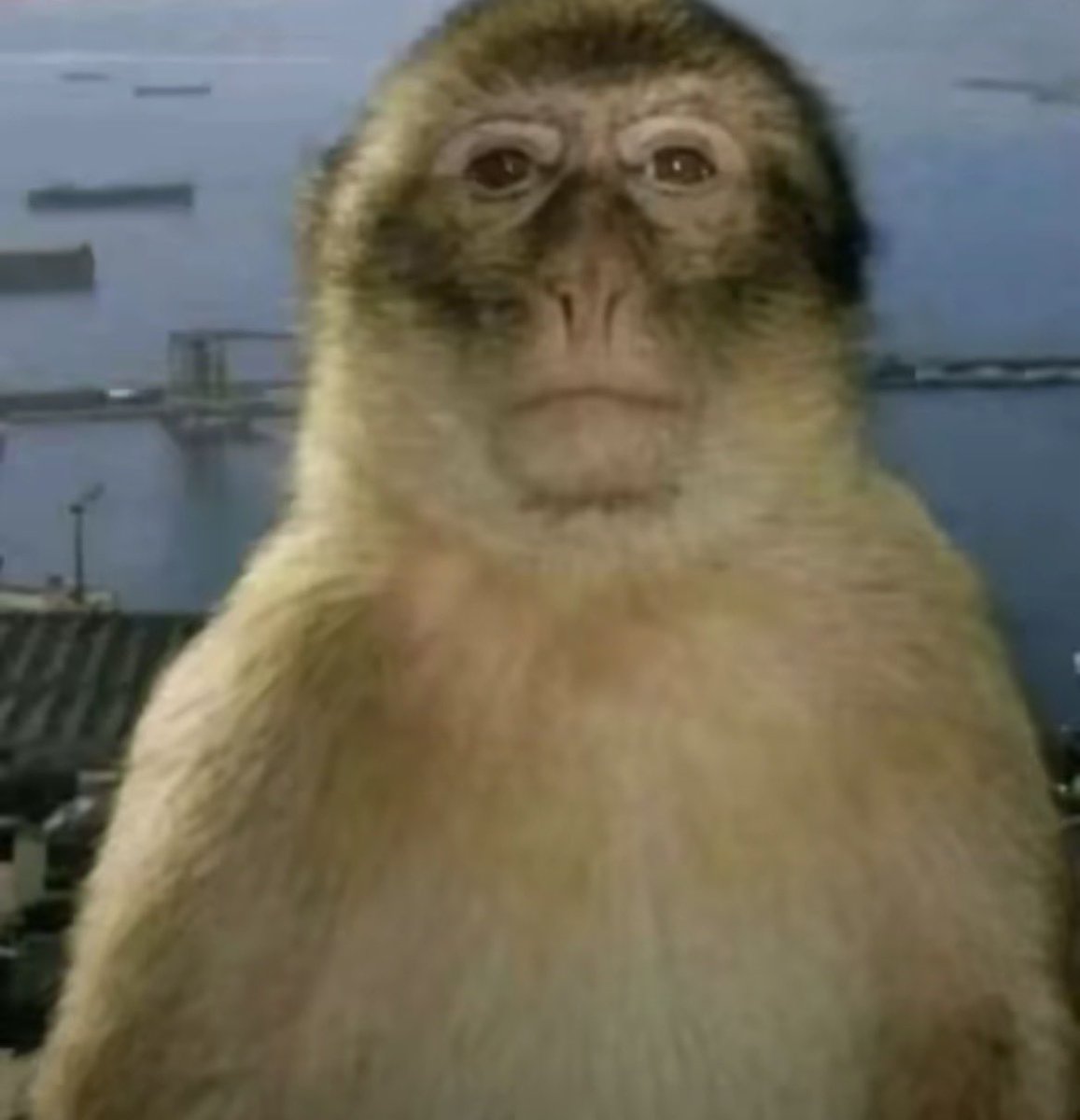 itzHD_Freeze's tweet image. ITS ASS