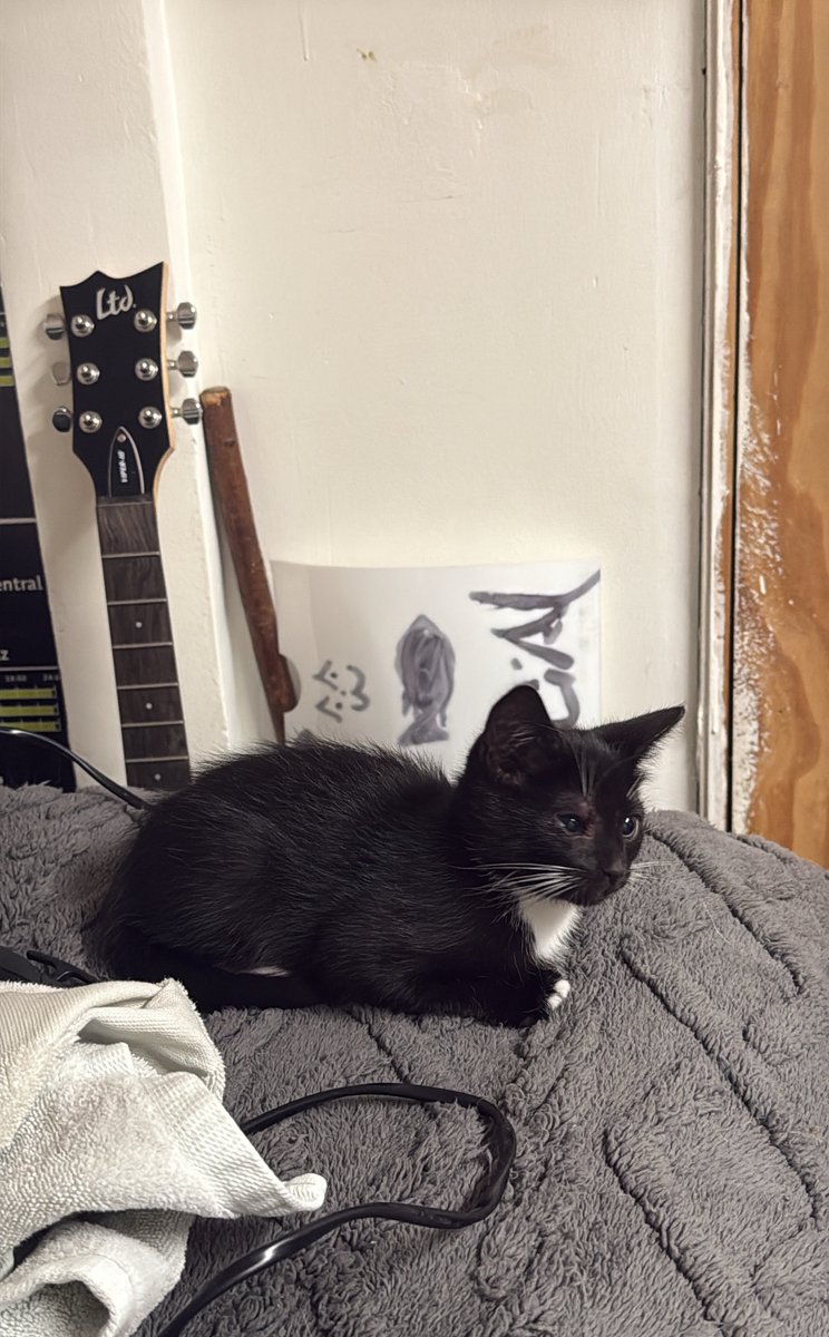 nit (@midnitzz) on Twitter photo 