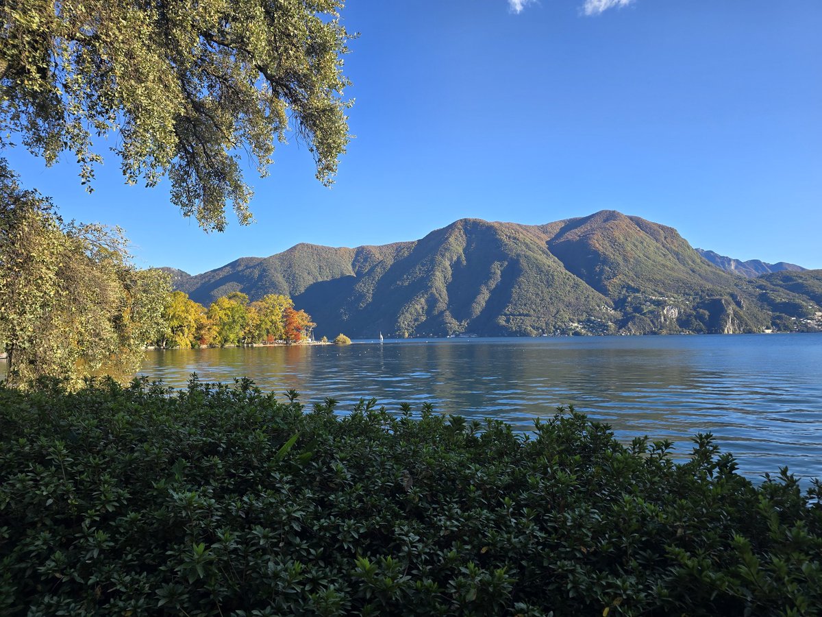 EdgeBitcoin's tweet image. The best part about crypto is how often we get events in beautiful locations where everyone shows up.

I'm in Lugano with @ThalexGlobal for the Plan B conference, if you're here and want to meet up, DM me