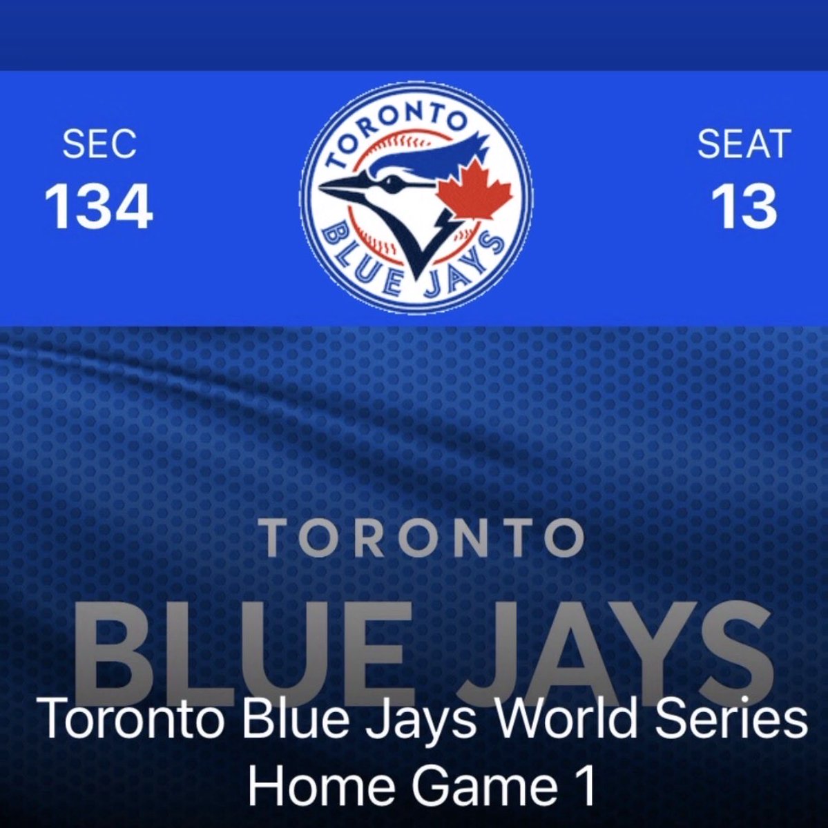 Pat Mayo tweet media