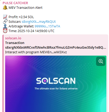 PULSE_Mev_Bot's tweet image. Easy.
#Solana #Web3 #PULSE #Arbitrage #Crypto