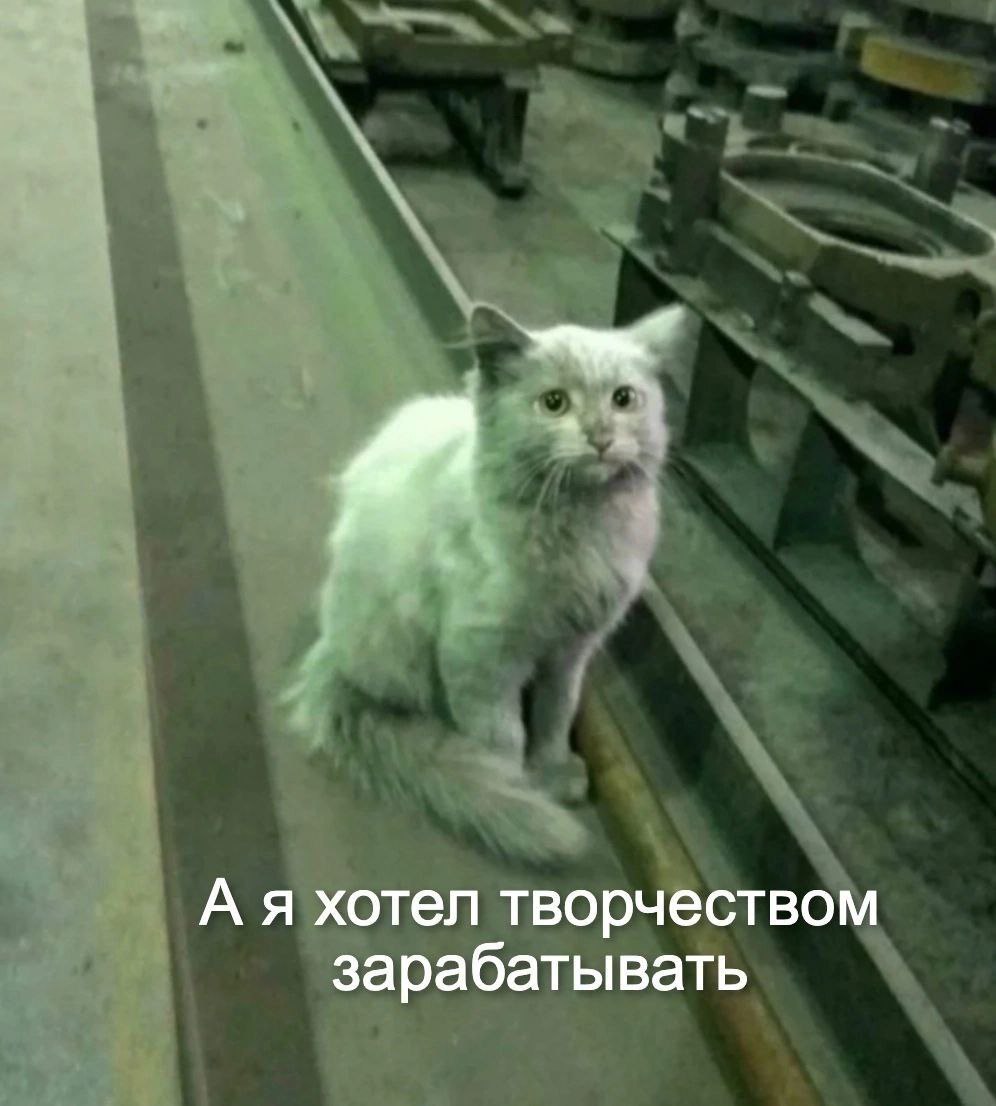 catsilcats's tweet photo. https://t.co/AMHXY5EiE8