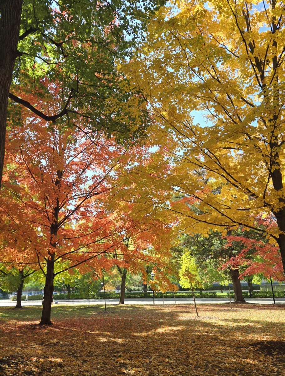 SugarSugar78 tweet media