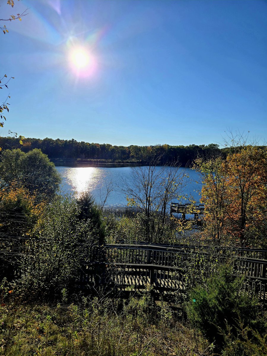 SugarSugar78 tweet media